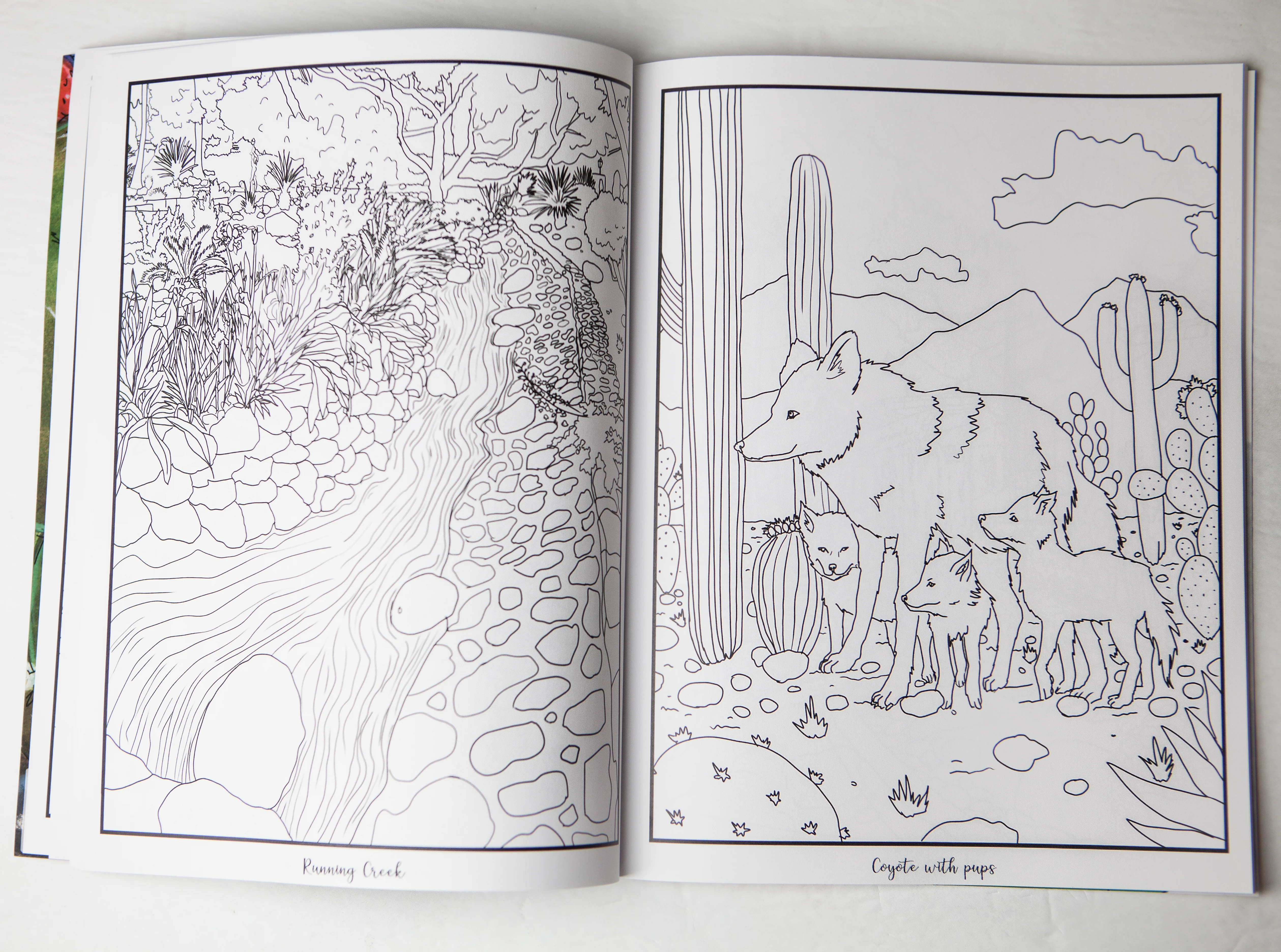 Canyon Ranch All Ages Coloring Book - Image 3