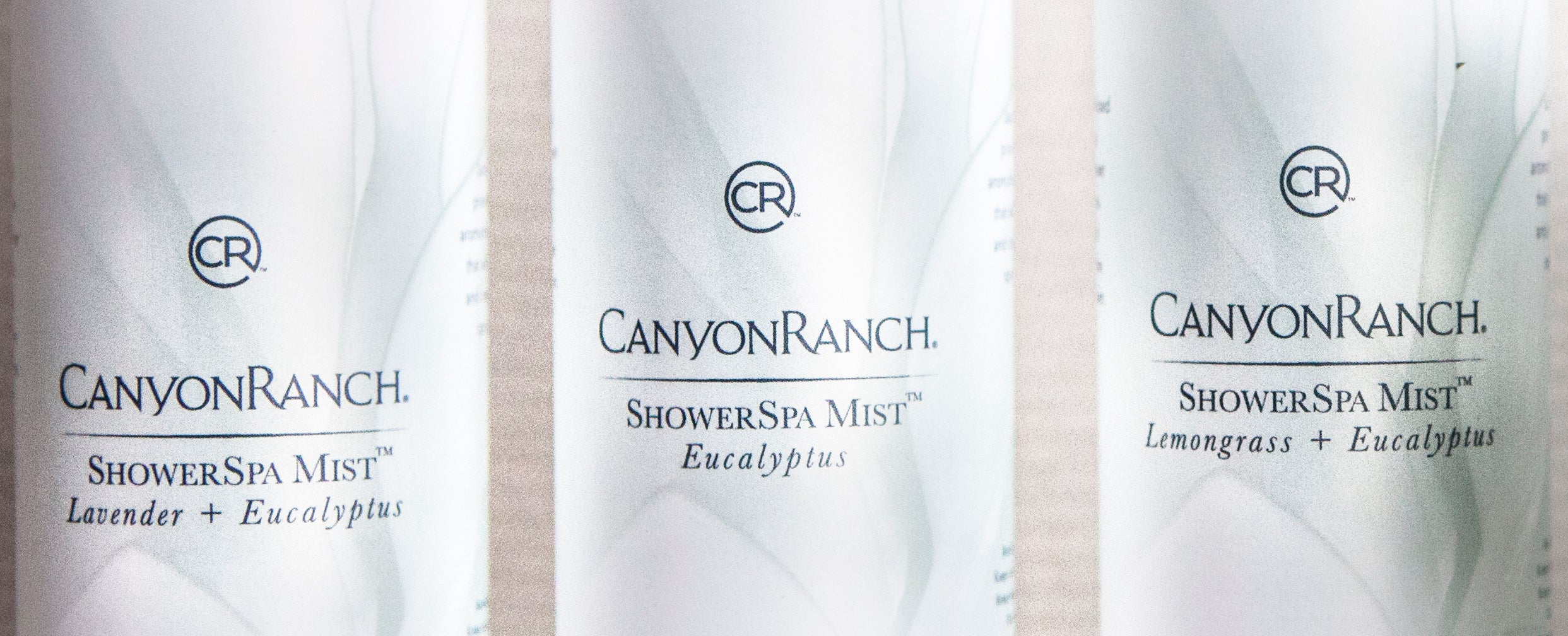 Eucalyptus Shower Spa Mists - Image 3